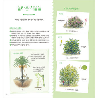 자연 관찰사전 시리즈