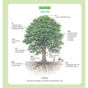 자연 관찰사전 시리즈