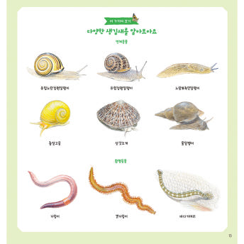 자연 관찰사전 시리즈