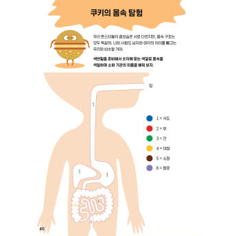 놀이로 레벨업! 두뇌자극 활동북