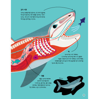 초등 동물 도감 그림책