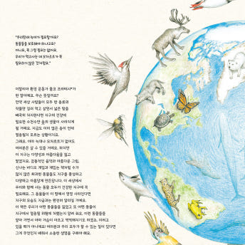 초등 동물 도감 그림책